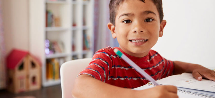 Young student studying at home.